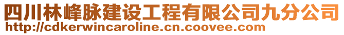 四川林峰脈建設工程有限公司九分公司