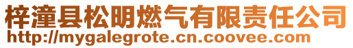 梓潼縣松明燃?xì)庥邢挢?zé)任公司