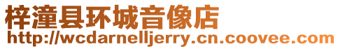 梓潼縣環城音像店