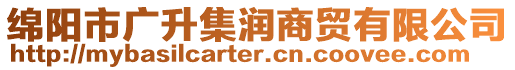 綿陽市廣升集潤商貿有限公司