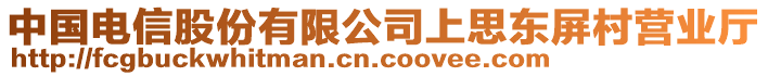 中國(guó)電信股份有限公司上思東屏村營(yíng)業(yè)廳