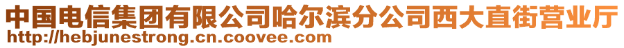 中國電信集團(tuán)有限公司哈爾濱分公司西大直街營業(yè)廳