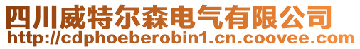 四川威特爾森電氣有限公司