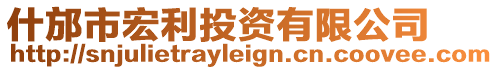 什邡市宏利投資有限公司