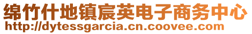 綿竹什地鎮(zhèn)宸英電子商務(wù)中心