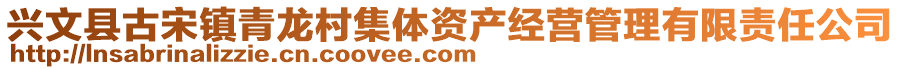 兴文县古宋镇青龙村集体资产经营管理有限责任公司