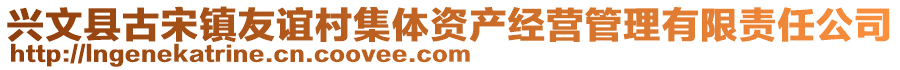 兴文县古宋镇友谊村集体资产经营管理有限责任公司