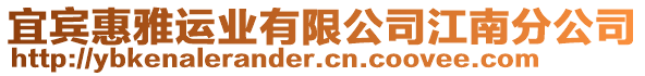 宜賓惠雅運業(yè)有限公司江南分公司