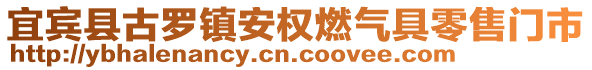 宜賓縣古羅鎮(zhèn)安權(quán)燃?xì)饩吡闶坶T市