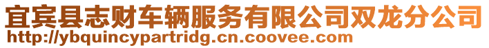 宜賓縣志財車輛服務有限公司雙龍分公司