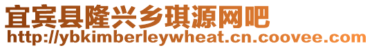 宜賓縣隆興鄉(xiāng)琪源網(wǎng)吧