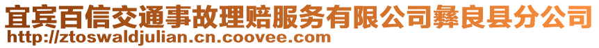 宜宾百信交通事故理赔服务有限公司彝良县分公司