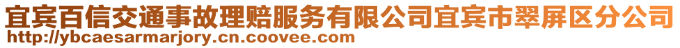 宜宾百信交通事故理赔服务有限公司宜宾市翠屏区分公司