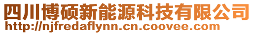 四川博碩新能源科技有限公司