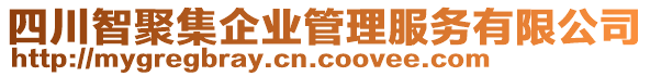 四川智聚集企業(yè)管理服務有限公司