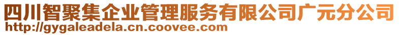 四川智聚集企業(yè)管理服務有限公司廣元分公司