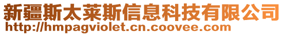 新疆斯太萊斯信息科技有限公司