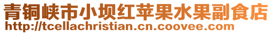 青铜峡市小坝红苹果水果副食店
