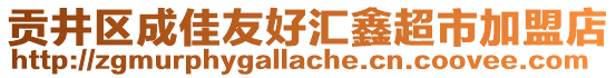 貢井區(qū)成佳友好匯鑫超市加盟店