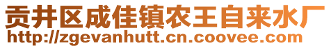 貢井區(qū)成佳鎮(zhèn)農(nóng)王自來水廠