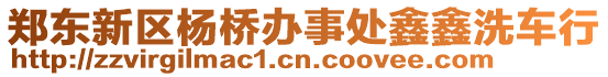 鄭東新區(qū)楊橋辦事處鑫鑫洗車行