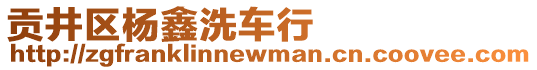 貢井區(qū)楊鑫洗車行