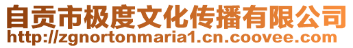 自貢市極度文化傳播有限公司