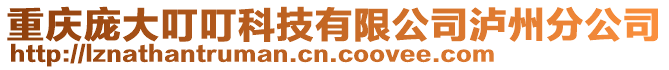 重庆庞大叮叮科技有限公司泸州分公司