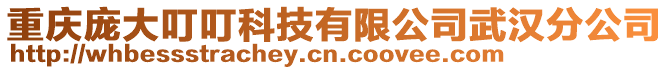 重慶龐大叮?？萍加邢薰疚錆h分公司