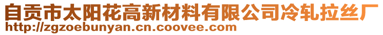 自貢市太陽花高新材料有限公司冷軋拉絲廠