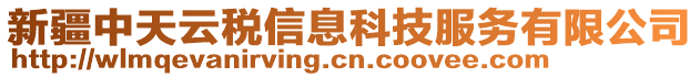 新疆中天云稅信息科技服務(wù)有限公司