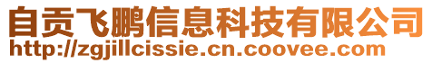 自貢飛鵬信息科技有限公司