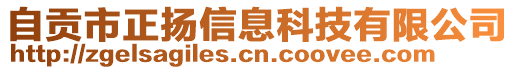 自貢市正揚(yáng)信息科技有限公司