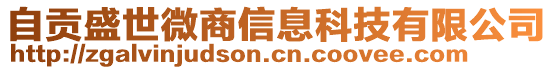 自贡盛世微商信息科技有限公司