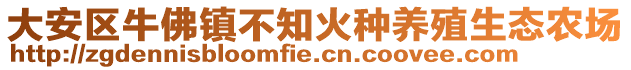 大安區(qū)牛佛鎮(zhèn)不知火種養(yǎng)殖生態(tài)農(nóng)場