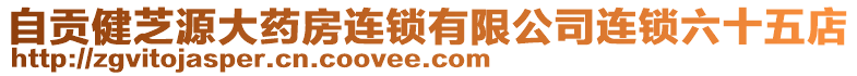 自貢健芝源大藥房連鎖有限公司連鎖六十五店