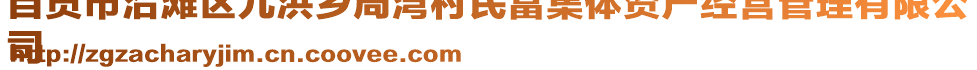 自貢市沿灘區(qū)九洪鄉(xiāng)周灣村民富集體資產(chǎn)經(jīng)營管理有限公
司