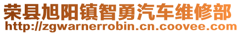 榮縣旭陽鎮(zhèn)智勇汽車維修部