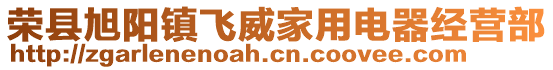 榮縣旭陽(yáng)鎮(zhèn)飛威家用電器經(jīng)營(yíng)部