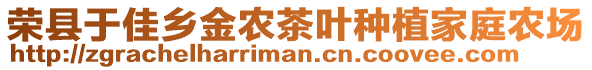 榮縣于佳鄉(xiāng)金農(nóng)茶葉種植家庭農(nóng)場(chǎng)