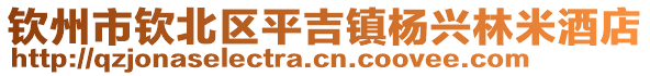 欽州市欽北區(qū)平吉鎮(zhèn)楊興林米酒店