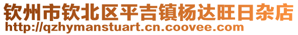 欽州市欽北區(qū)平吉鎮(zhèn)楊達旺日雜店