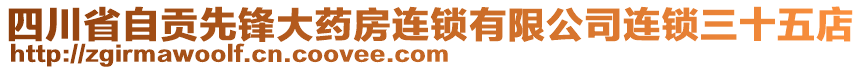 四川省自貢先鋒大藥房連鎖有限公司連鎖三十五店