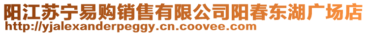 阳江苏宁易购销售有限公司阳春东湖广场店