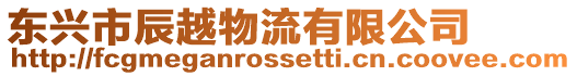 東興市辰越物流有限公司