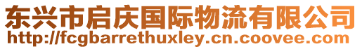 東興市啟慶國際物流有限公司