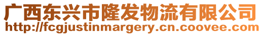 廣西東興市隆發物流有限公司