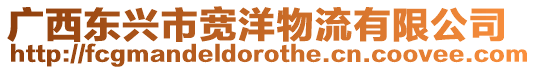 廣西東興市寬洋物流有限公司