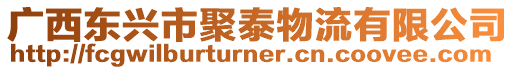 廣西東興市聚泰物流有限公司