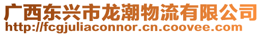 廣西東興市龍潮物流有限公司
